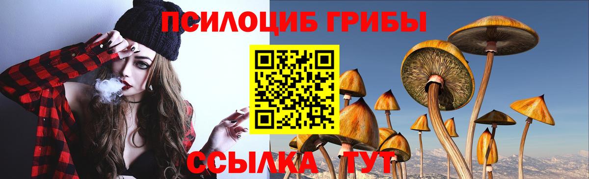 Татарск  Псилоцибиновые грибы прущие грибы  Псилоцибиновые грибы GOLDEN TEACHER  Вход с VPN 